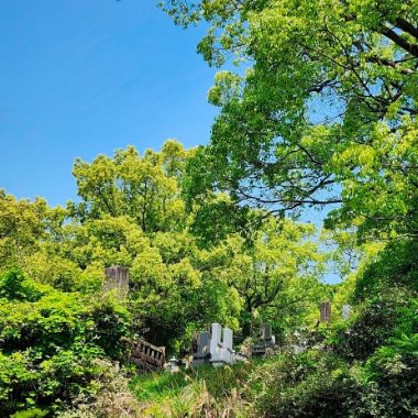 蓮ノ葉寺 イメージ画像