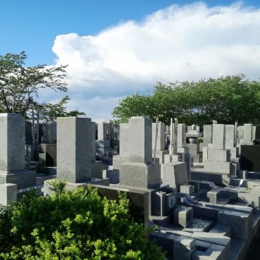 蓮ノ葉寺 イメージ画像