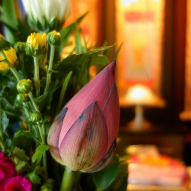 蓮ノ葉寺 イメージ画像